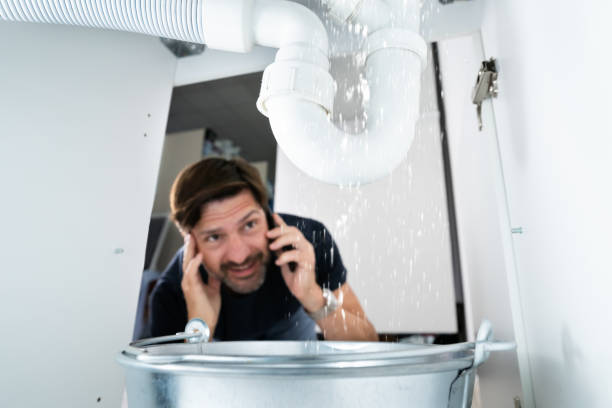 Best Local Plumber Services  in Orlovista, FL