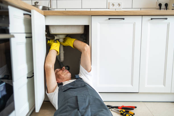 Best Affordable Plumber Near Me  in Orlovista, FL